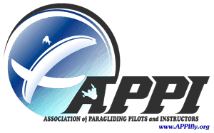 appi logo transparen 300t